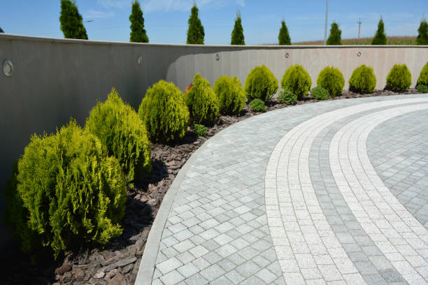 Best Driveway Paving Near Me  in Briarcliff Manor, NY